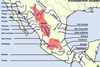 AmÃ©rica central rÃ­os