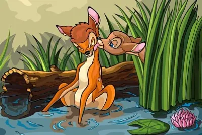 animales