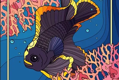 colorido