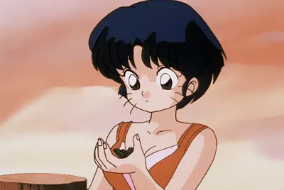 akane con bigotes ranma 1/2