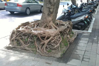 Cursed image jigsaw puzzle