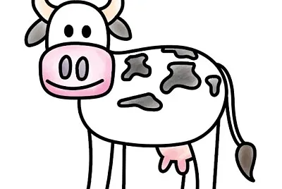 vaca