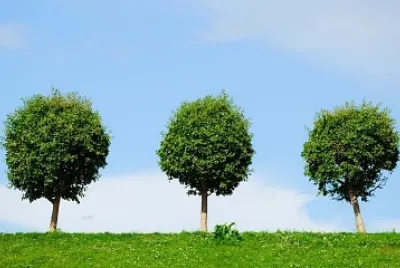 NATURALEZA