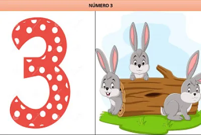 NÃšMERO3