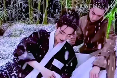 Xiao Zhan / Wang Yibo