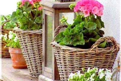flores