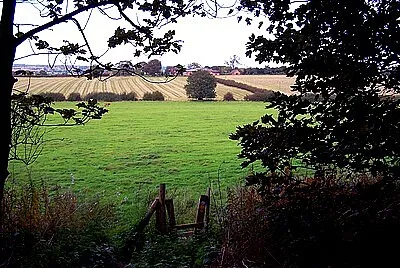 Hollies Farm jigsaw puzzle