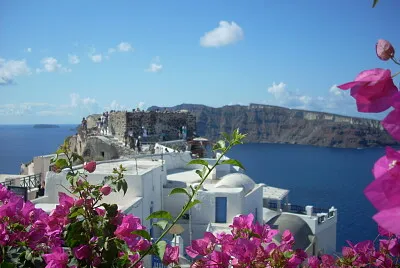 Santorin fleurs