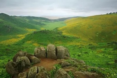Reserva Nacional de Lachay