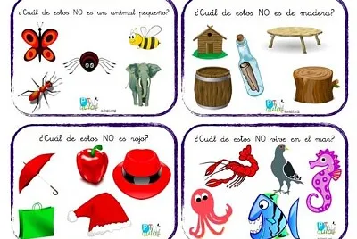 פאזל של campos semÃ¡nticos