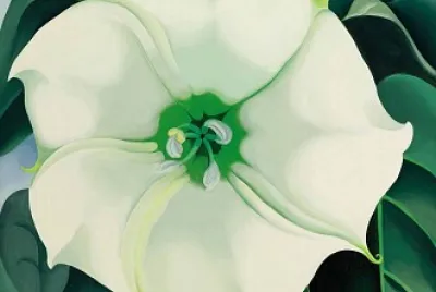 Georgia O`keeffe