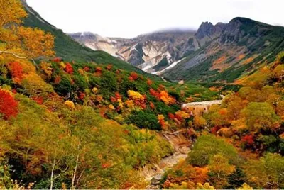 imagem jigsaw puzzle