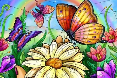 colorido