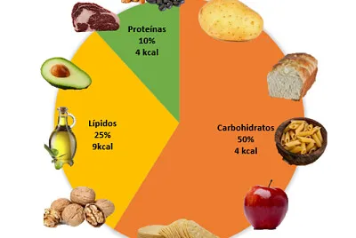 Macro-nutrimentos