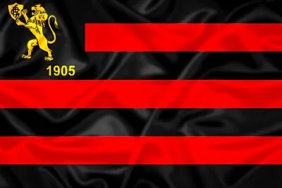 Bandeira do LeÃ£o