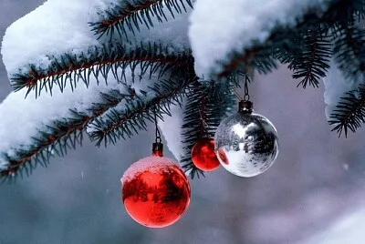 Natal