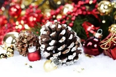 Natal