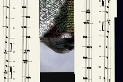 75149153181325