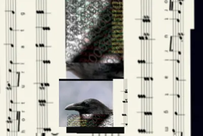 75149153181325