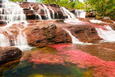 Descubran la imagen.