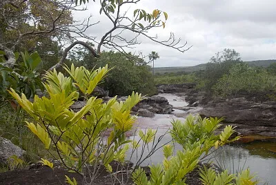 CaÃ±o Cristales2