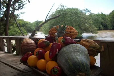 Frutos de mi tierra