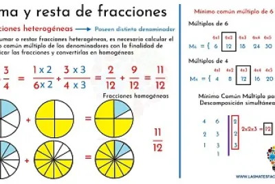 homogenas