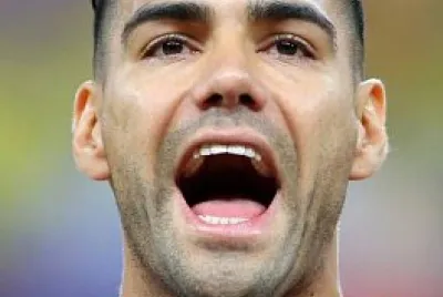 Falcao jigsaw puzzle