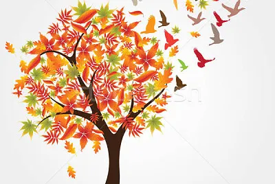 Copacul toamna jigsaw puzzle