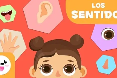 los sentidos jigsaw puzzle