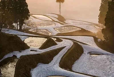 Fog   Snowy Rice Paddiies jigsaw puzzle