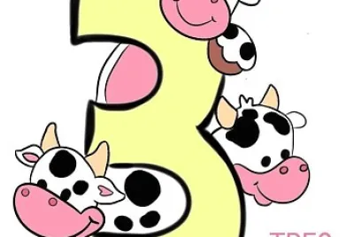 NÃšMERO 3