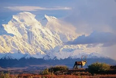 Mt. Denali