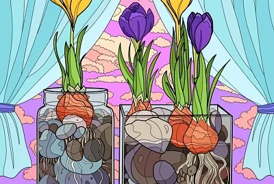 florecitas