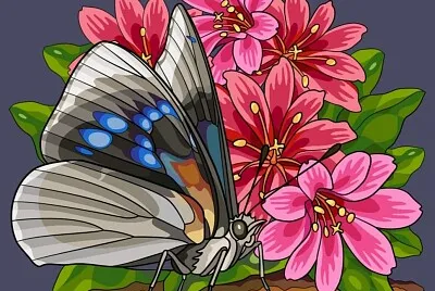MARIPOSA COLORIDA