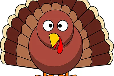 Pavo