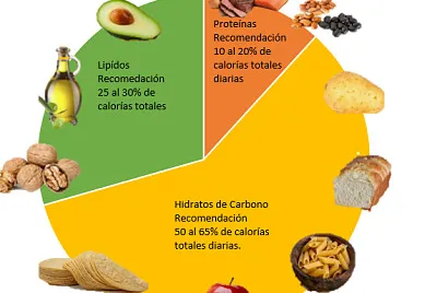 RecomendaciÃ³n de Macro nutrimentos