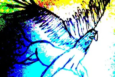 פאזל של Insane bird