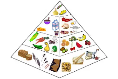 Piramida alimentelor