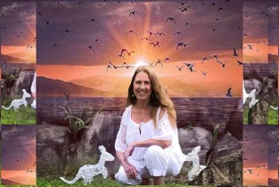 Sylvie et les kangourous