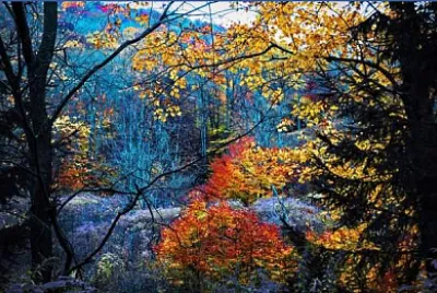 Nature jigsaw puzzle