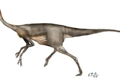 Gallimimus