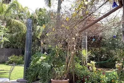×¤×™× ×” ×‘×’×™× ×”