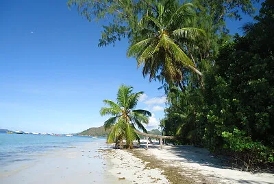 paysage