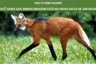 Animal do Pantanal
