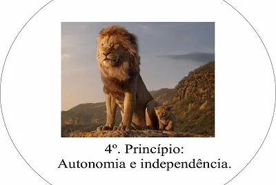 פאזל של PRINCIPIO 4