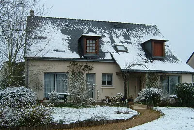 Neige
