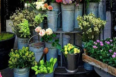 flores