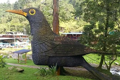 Alojamiento Mirla patiamarilla jigsaw puzzle