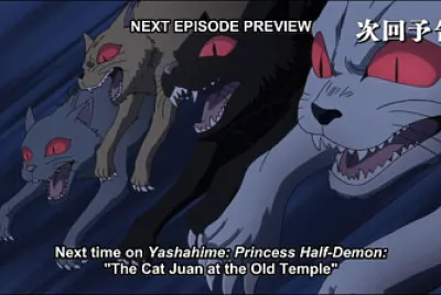 los gatos demonios atacan hanyo no yashahime jigsaw puzzle